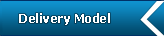 Delivery Model