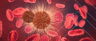 Bundibugyo Virus Disease Successfully Treated with Monoclonal Antibodies and Remdesivir