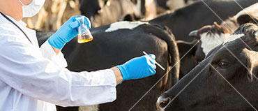 Animal Genetics Market