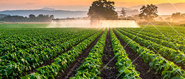 Agriculture Utility Adjuvants Market