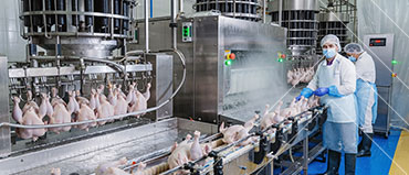 Poultry Processing Equipment Market