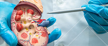 Tumor Ablation Market