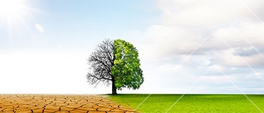 Climate Adaptation Market Report 2024-2030, By Solution, End User