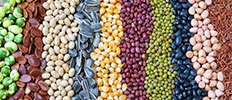 Biological Seed Treatment Market Forecasts-2025 | Industry Size, Share, and global Trends | MarketsandMarkets