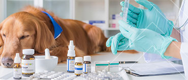 Veterinary Pharmaceuticals Market