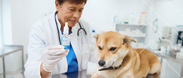 Animal Parasiticides Market