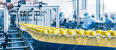 Global Food & Bevera