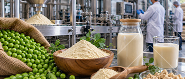 Pea Protein Market