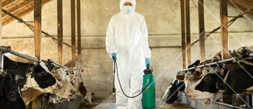 Animal Disinfectants Market