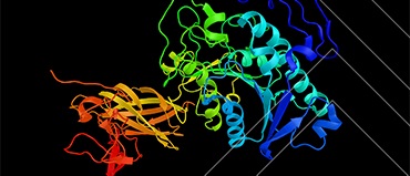 Enzymes Market