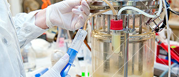 Single-Use Bioreactors Market