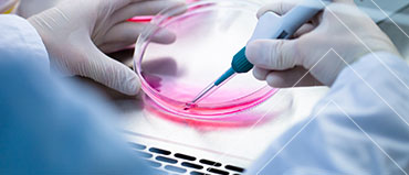 Cell Culture Market