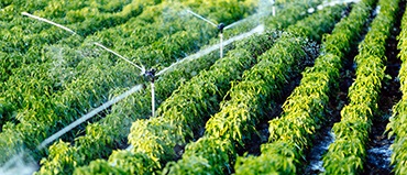 Microirrigation Systems Market