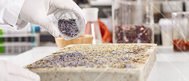 IVD Raw Material Market