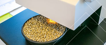 Feed Additives Market Report 2026-2031 [350 Pages & 300 Tables]