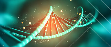 Environmental DNA Market