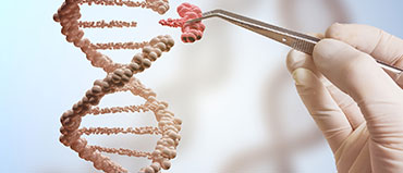 Epigenetics Market