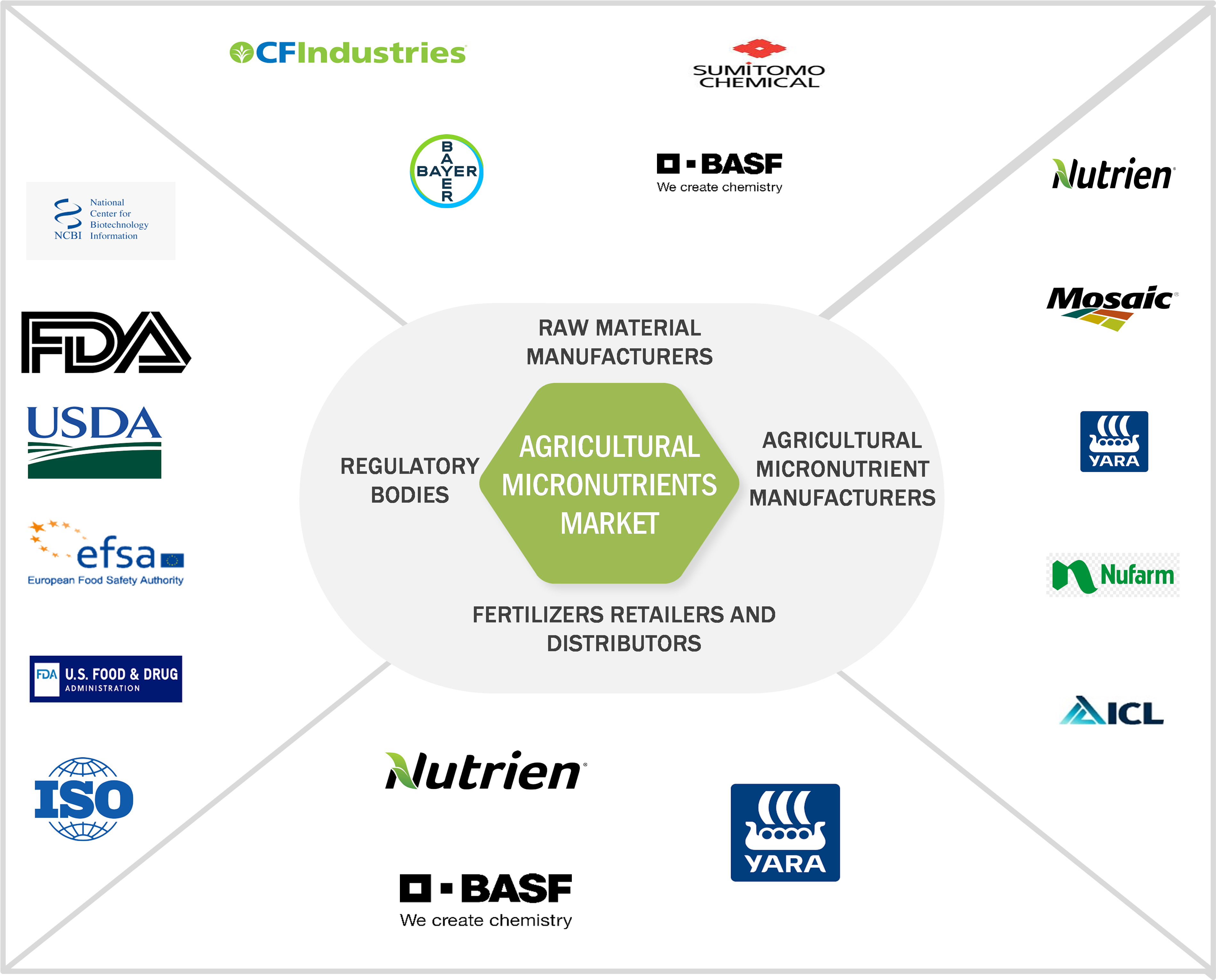 Agricultural Micronutrients Industry Ecosystem