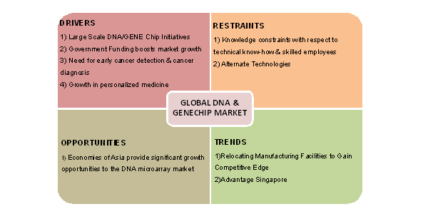 DNA Market, Genechips Market, Gene Chip Market