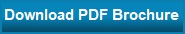 download pdf