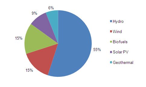 Renewable Energy Market