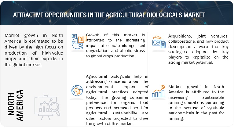 Agricultural Biologicals Market 