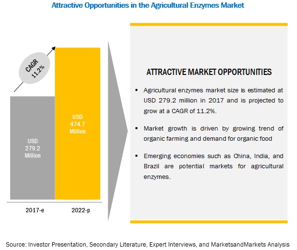 Agricultural Enzymes Market
