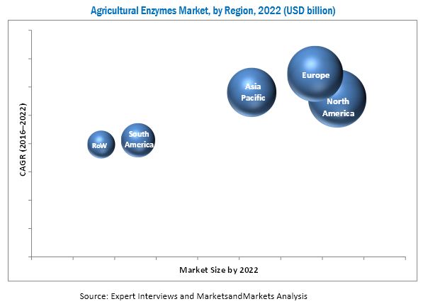 Agricultural Enzymes Market