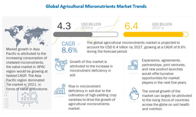 Agricultural Micronutrients Market 