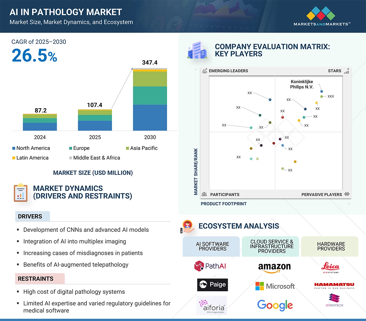 AI in Pathology Market Growth, Drivers & Opportunities
