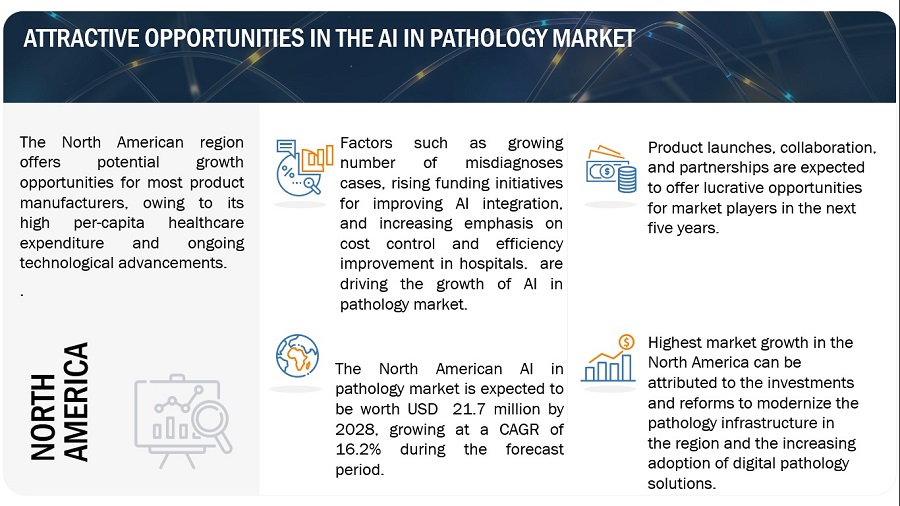 AI in Pathology Market