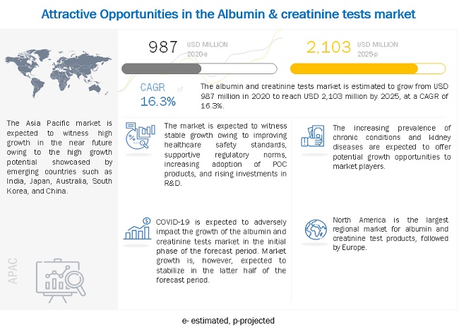 Albumin & Creatinine Tests Market