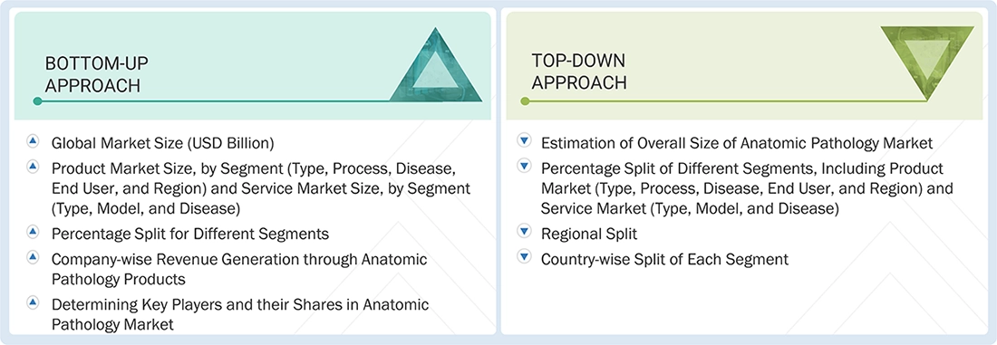 Anatomic Pathology Market Top Down and Bottom Up Approach