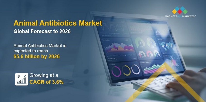 Animal Antibiotics Market Trends & Growth Drivers | MarketsandMarkets