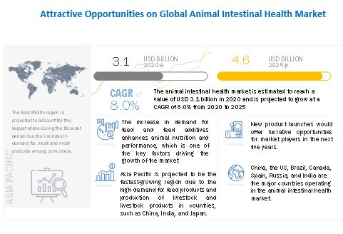 Animal Intestinal Health Market