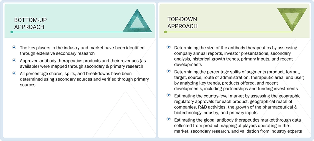 Antibody Therapeutics Market Top Down and Bottom Up Approach