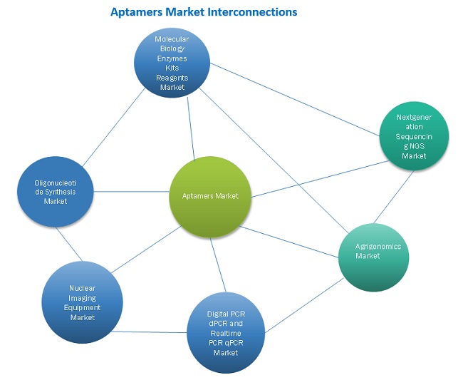 Aptamers Market Interconnections