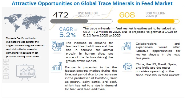 Trace Minerals in Feed Market