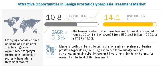 Prostate Hyperplasia Assembly