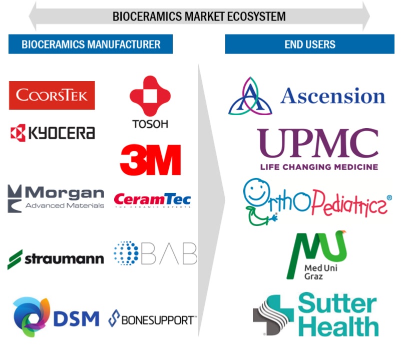 Bioceramics Market Ecosystem