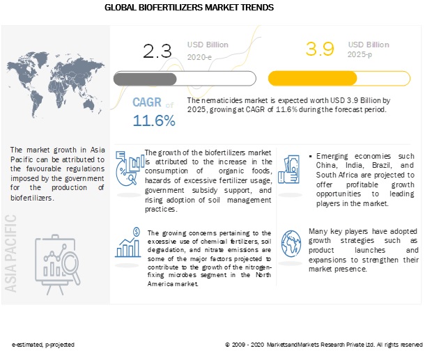 Biofertilizers Market