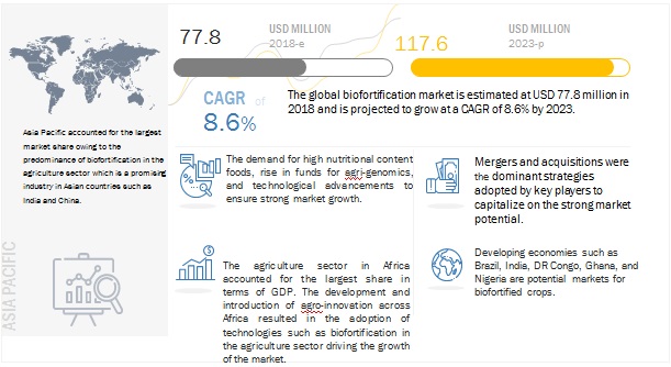  Biofortification Market