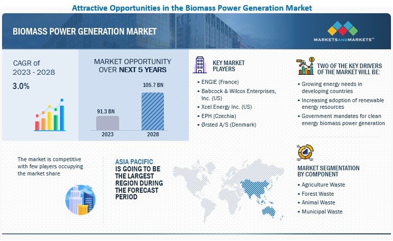 Biomass Power Generation Market 