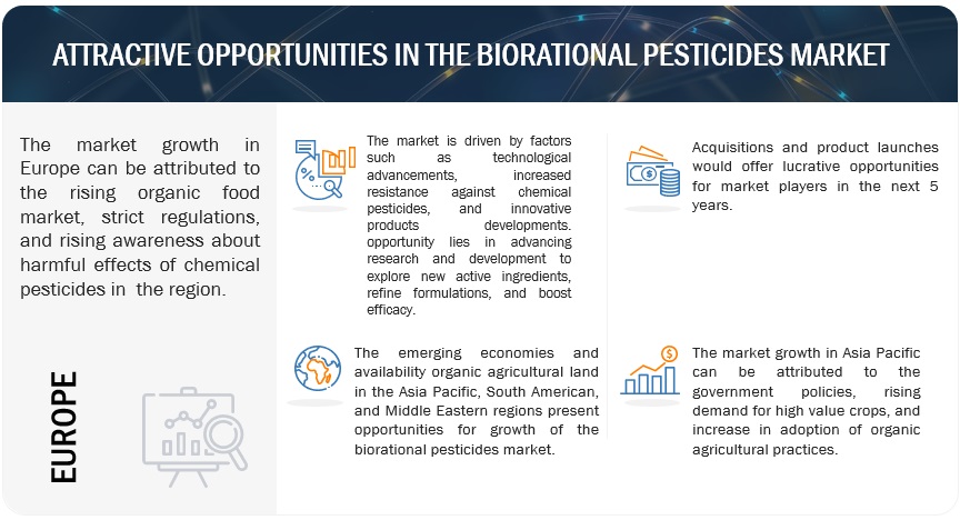 Biorational Pesticides Market for Automotive