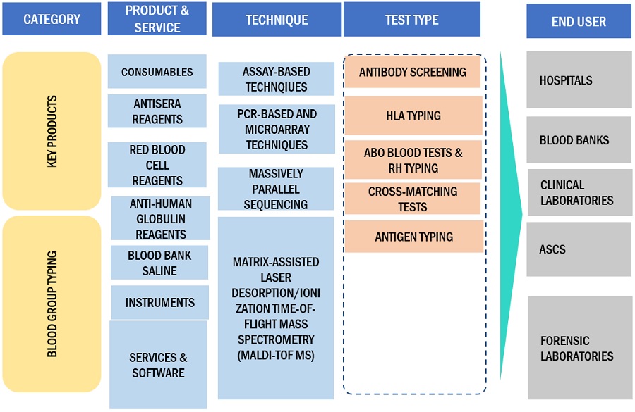 Blood Group Typing Market Ecosystem