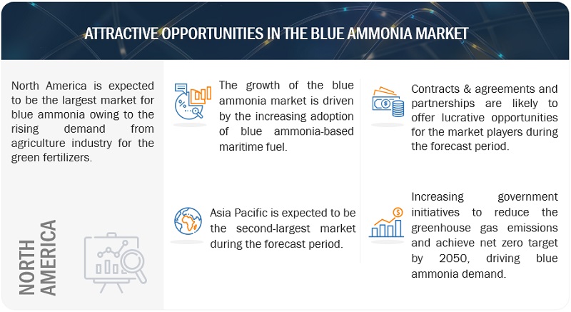 Blue Ammonia Market  