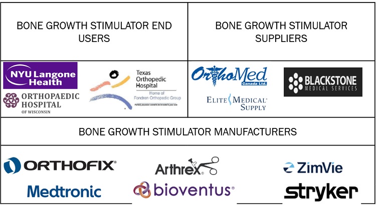 Bone Growth Stimulator Market Ecosystem