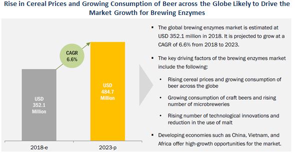 Brewing Enzymes Market