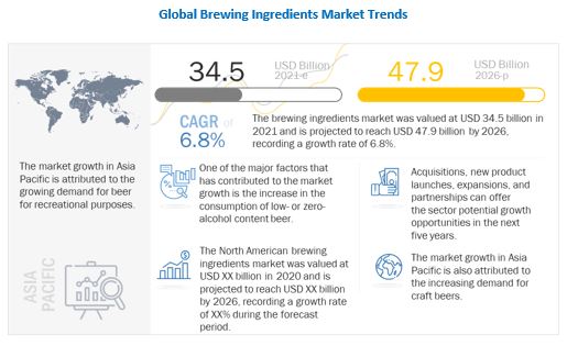 Brewing Ingredients Market Overview