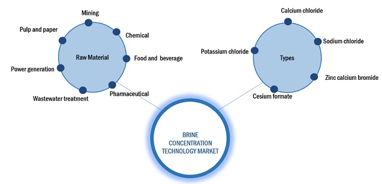 Brine Concentration Technology (BCT) Market Ecosystem